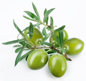 buy olive leaf extract weight loss- Lyphar.jpg